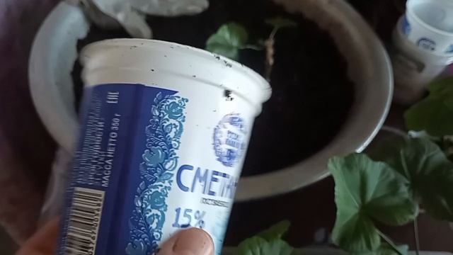 726d259723cd338acb74791dc18b1b55