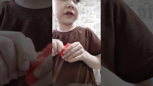 VID_20260405_180621.mp4