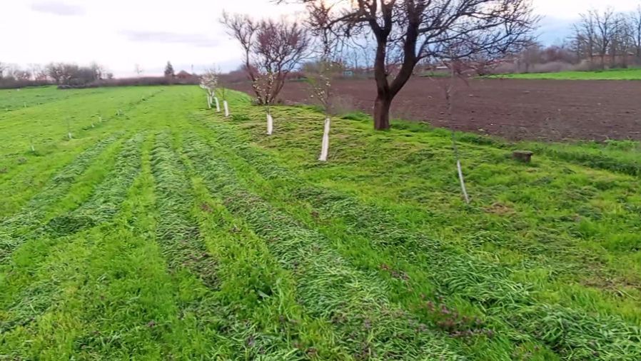 Покос травы