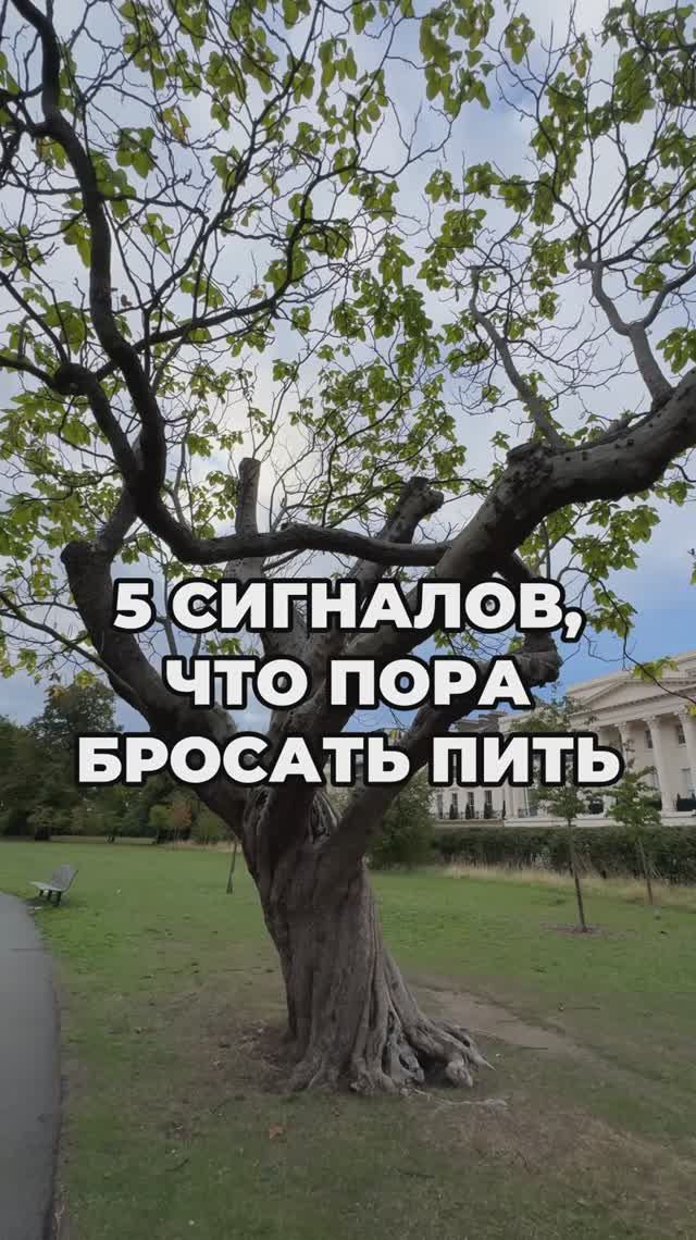 5 сигналов, что пора бросать пить