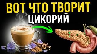 ДАЖЕ ПОДЖЕЛУДОЧНАЯ......Мало кто знает об этом....Вот что творит Цикорий