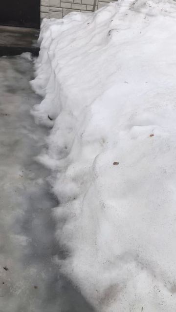 Игра «реальная жизнь». Роскомнадзор заблокировал эту игру.