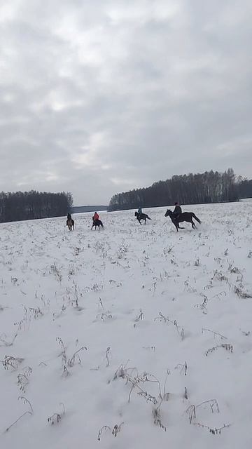 Один зимний день