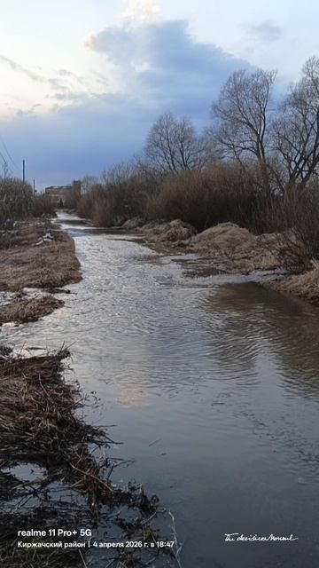 Весенний паводок в пойме реки Шерна посёлка Першино.