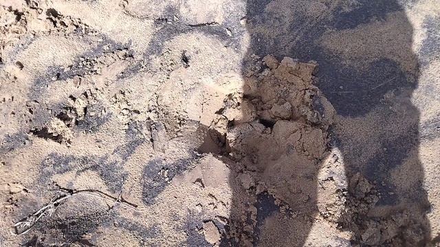 ПОИСК УКРАШЕНИЙ ПОСЛЕ ПАВОДКА