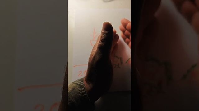 правильная посадка плодовых деревьев весной