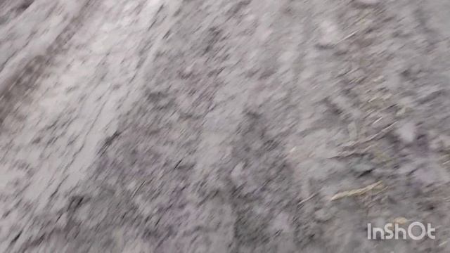 Грязно, холодно, но я сходила/как живут в русской деревне...