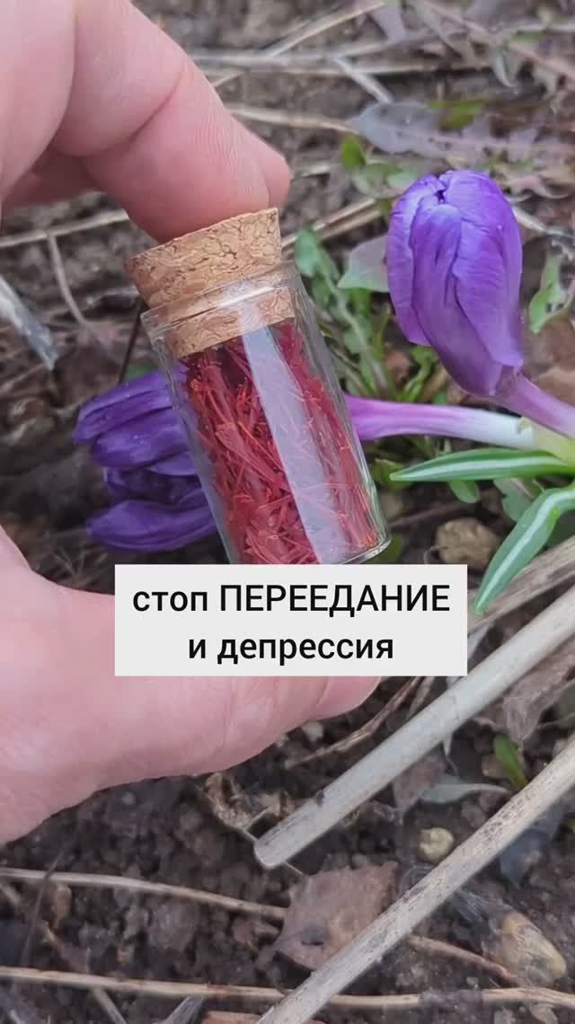 стоп переедание и депрессия
