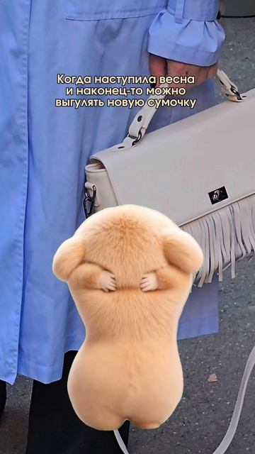 Время сиять, девочки