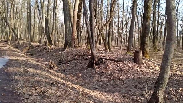 прогулка в роще 3 апреля 2026