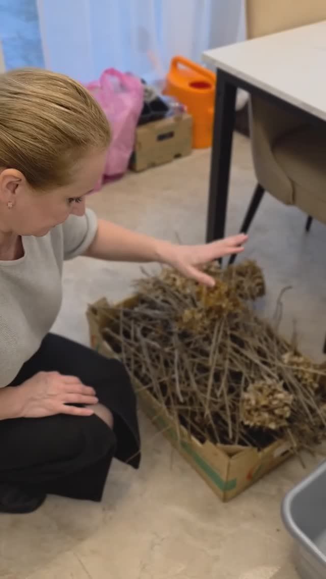 3f0c933c63b89ca026e5bbb5dbd6ad35