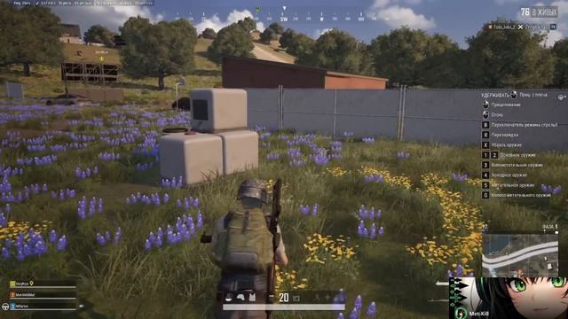 PUBG BATTLEGROUNDS двое,трое,перерыв