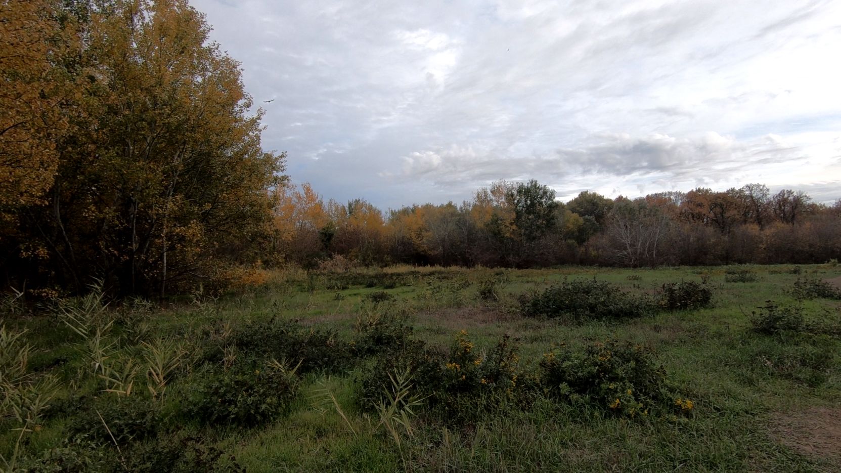 Поход 27 октября 2025 г.