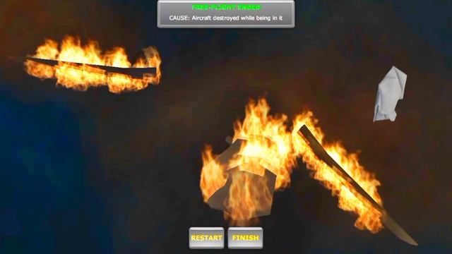 мои авиакотострофы