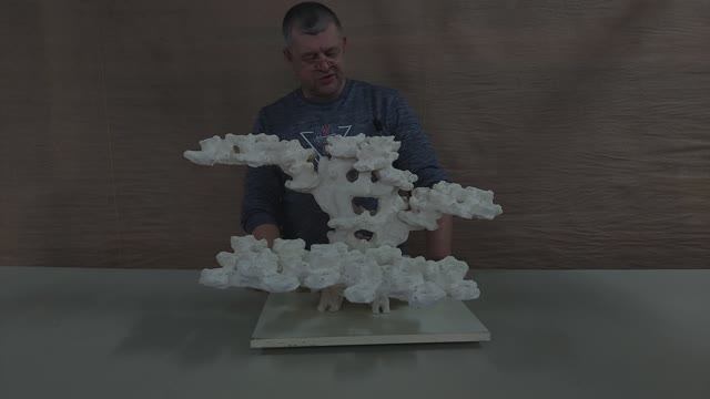 ДФ-403 Декорация из биокерамики для морского аквариума