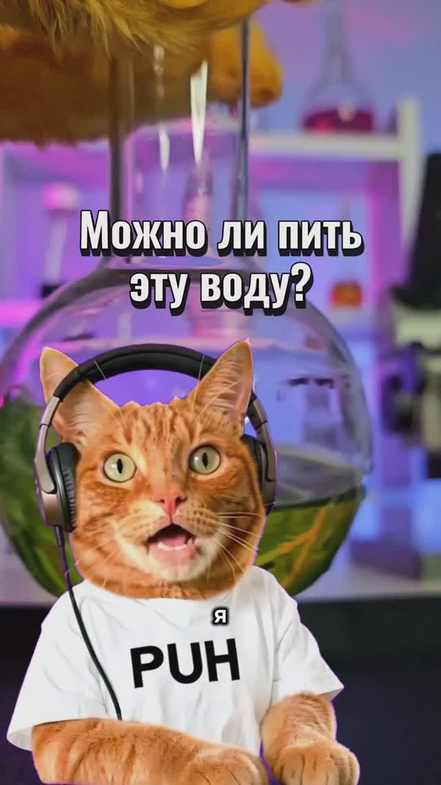 Можно ли пить эту воду?