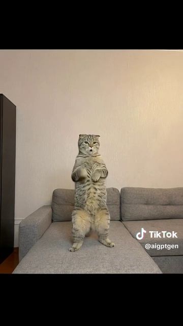 Video_13122252726139.mp4