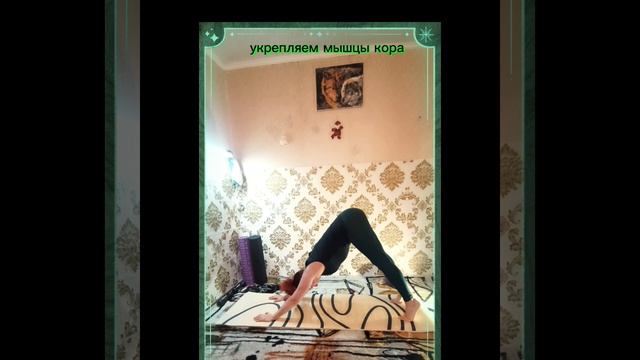 94e96e8c9b4deaaadc79634af3ceafc3