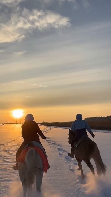 Галопом в зимний закат