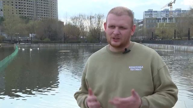 Плавучий причал для лебедей установили Общественники го Мытищи