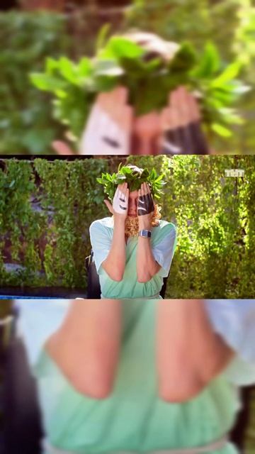 Остров (1сезон-8серия)