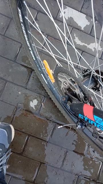 Это защитные диски