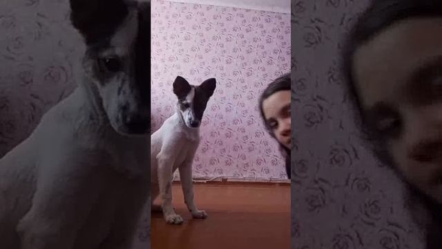 ~всякая всячина