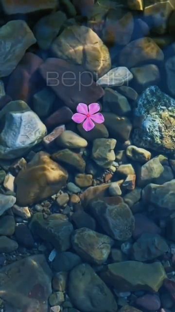 Аффирмация