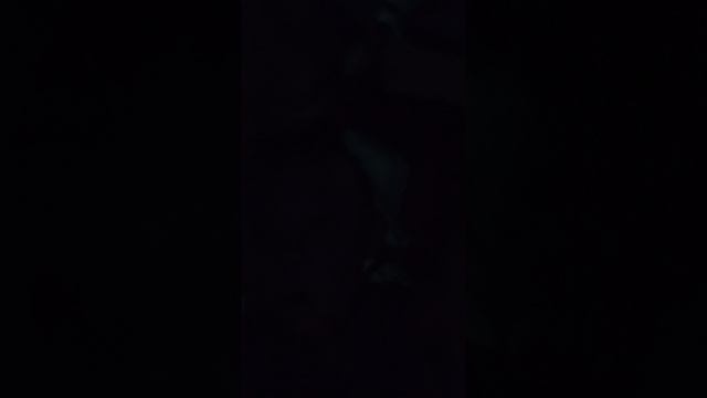 буря 1 часть