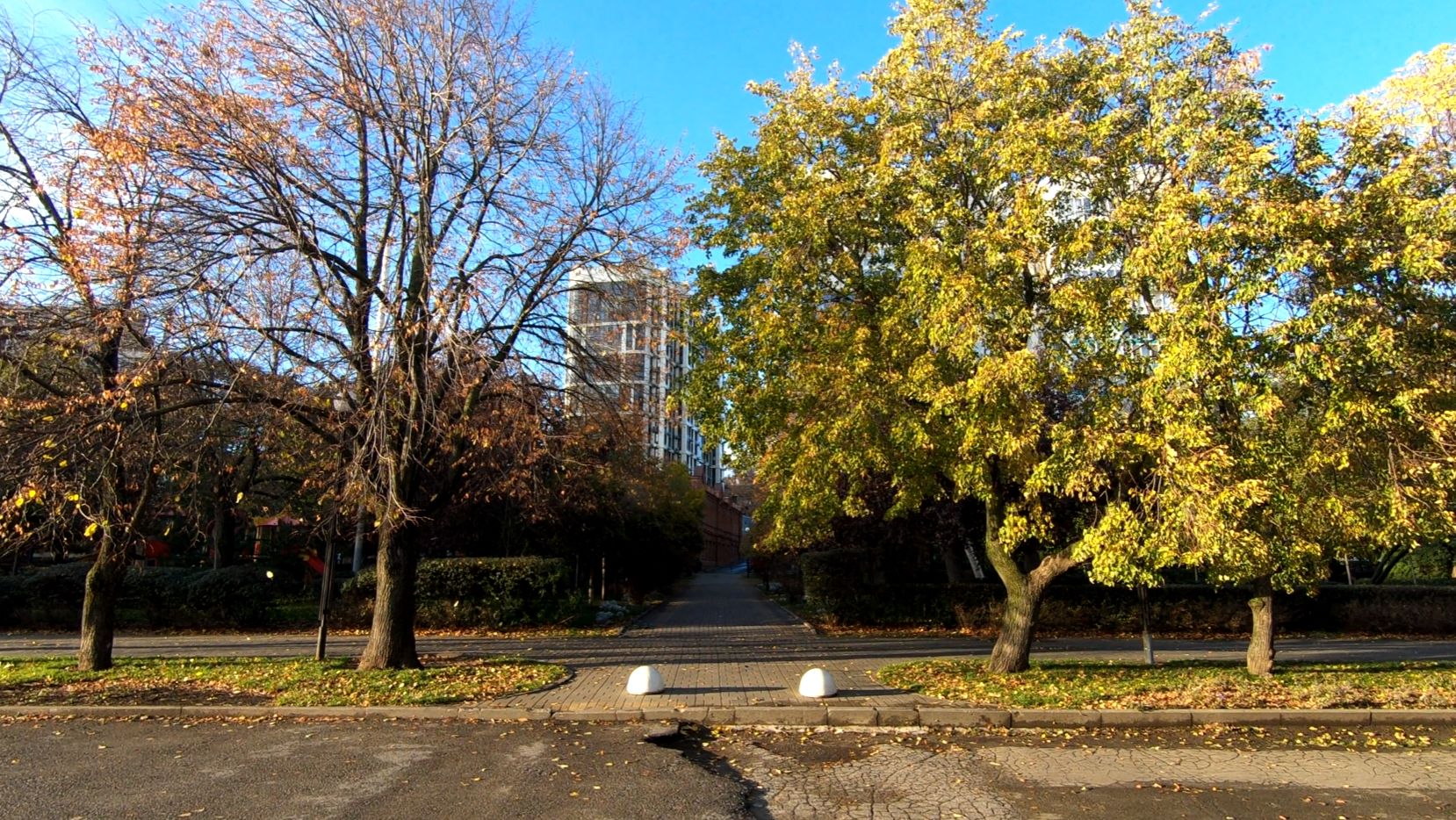 Поход 25 октября 2025 г.