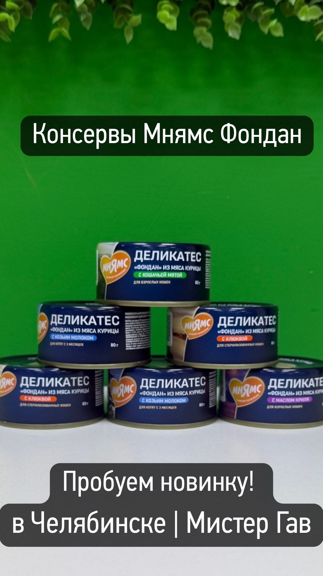 Пробуем новинки: Мнямс Фондан из мяса курицы с клюквой | «Мистер Гав» Челябинск #Shorts
