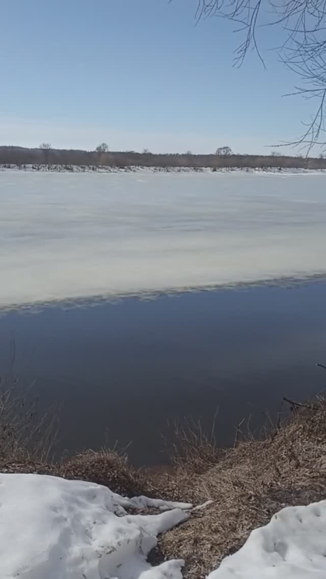 Моменты природы конца марта.