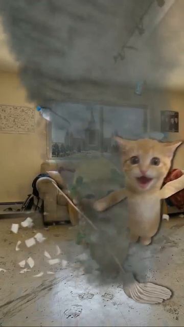 4 типа личности | котята поясняют