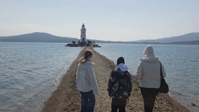 ТОКАРЕВСКАЯ КОШКА в 4К 🅅🄻🄰🄳🄸🅅🄾🅂🅃🄾🄺