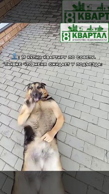 КОГДА КУПИЛ КВАРТИРУ ПО СОВЕТУ🤩!