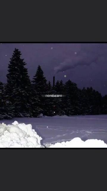 [🦈]-видео не моё,зато правда..