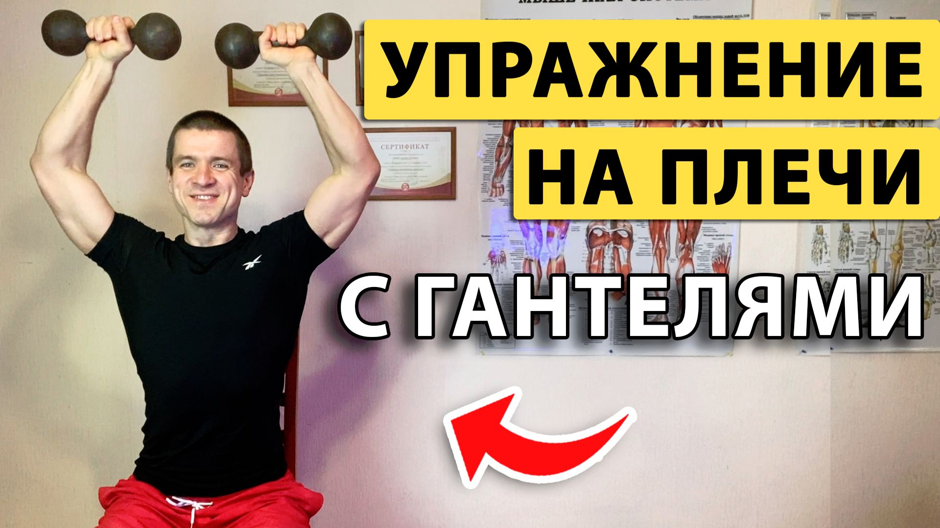 ❤️ Упражнение жим гантелей на плечи вверх над головой ✅ Техника сидя и стоя от тренера Андрея Лопеса