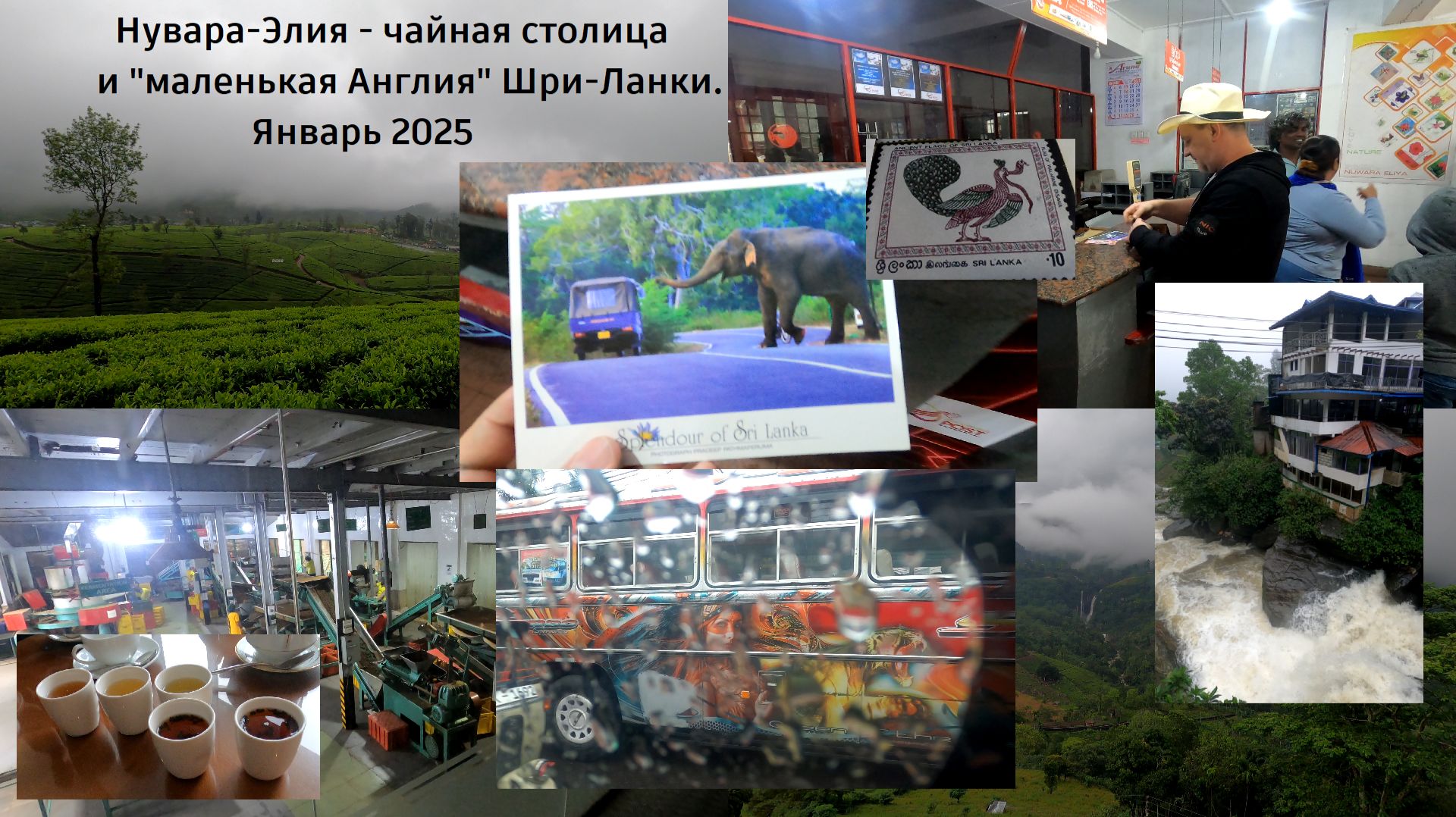 2770bddc86d57ed451eaa63d065017e7