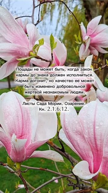 Живая Этика. Добровольная жертва