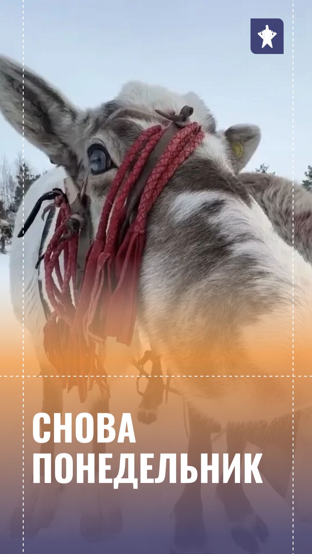 Снова понедельник