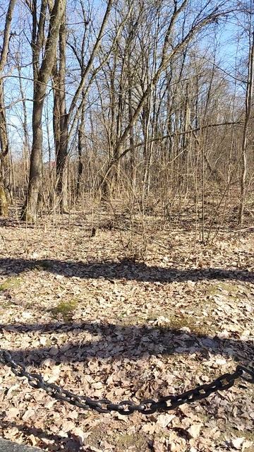 Памятник войнам Великой Отечественной войны. Д. Глинки. Жуковский р н