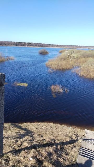 Река Ветьма. Глинки. Жуковский р н