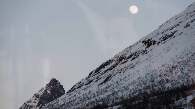 Дорога до...  (Евгений Альшиц)