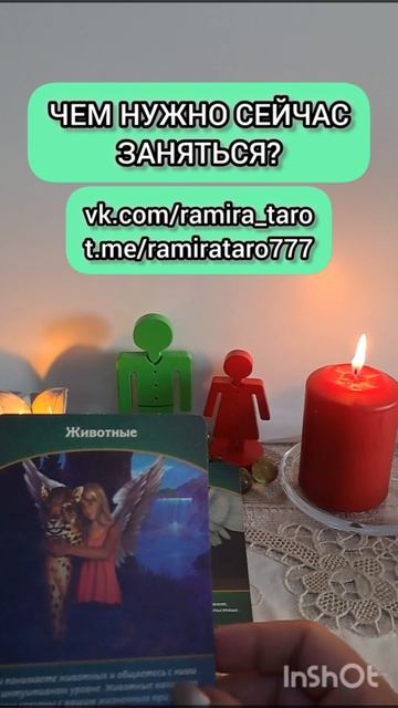 Чем нужно сейчас заняться?  #отношения #таро #онлайгадание