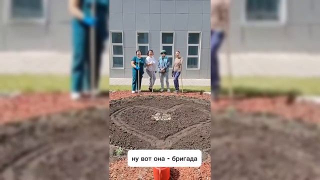 Клумба благодарности - говорим спасибо врачам онкодиспансера