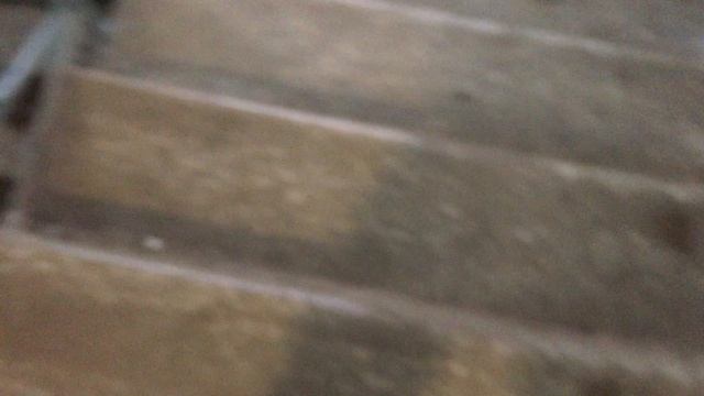 Теорема ЖКХ_Подъезд_2026.04.06_15-10