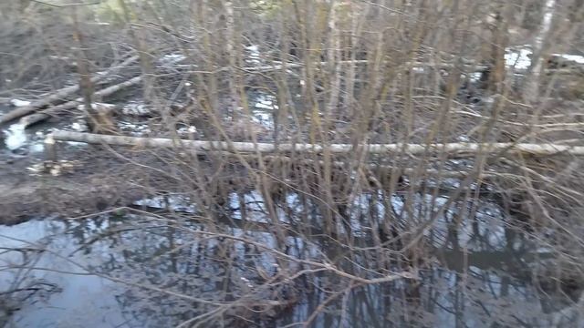 работа бобров