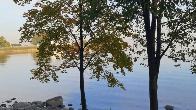 Петродворец. Прогулка по Нижнему парку. 1.10.25.