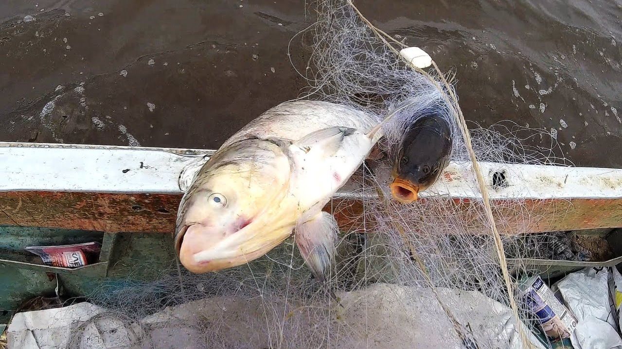 Крутая Русская Зимняя Рыбалка 2026 Ловлю Сеткой Сазан, Сиг и другая Рыба. Лучшая Рыбалка 2026 Онлайн