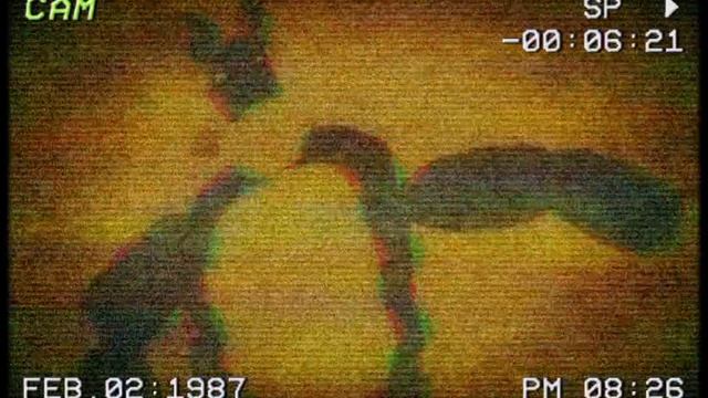 Bon's Comparation Dance. 邦的比较舞蹈